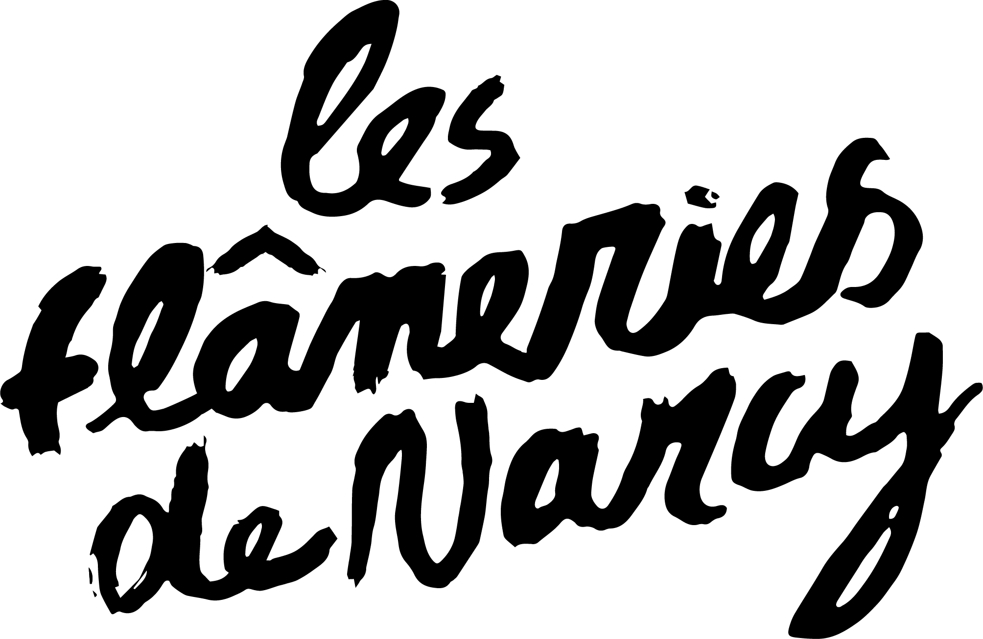 Logo Les Flâneries de Narcy noir